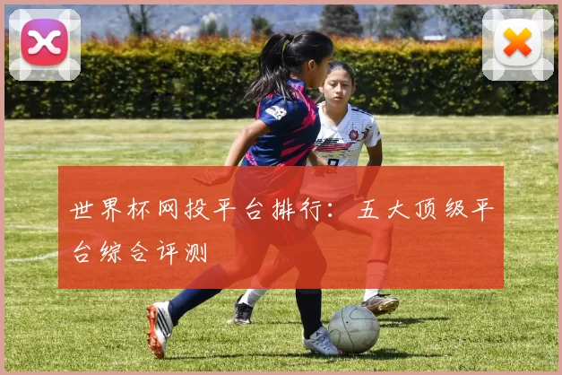 世界杯网投平台排行：五大顶级平台综合评测