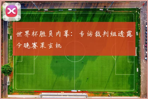世界杯胜负内幕:专访裁判组透露今晚赛果玄机