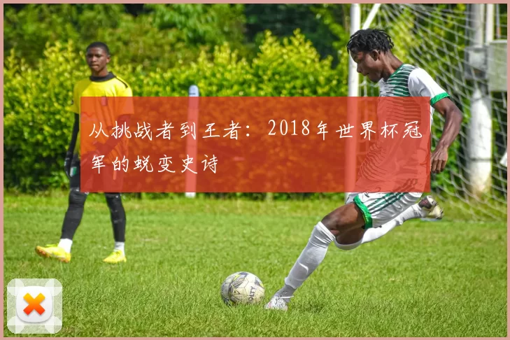 从挑战者到王者:2018年世界杯冠军的蜕变史诗