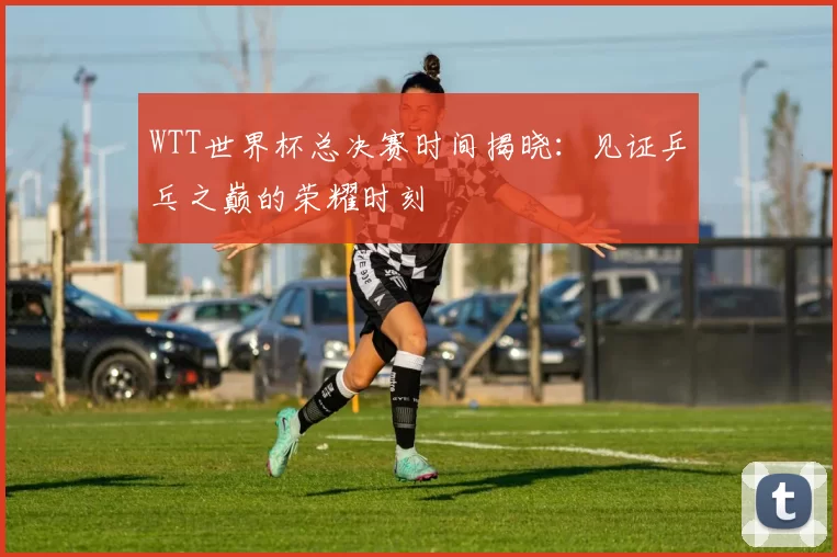 WTT世界杯总决赛时间揭晓：见证乒乓之巅的荣耀时刻