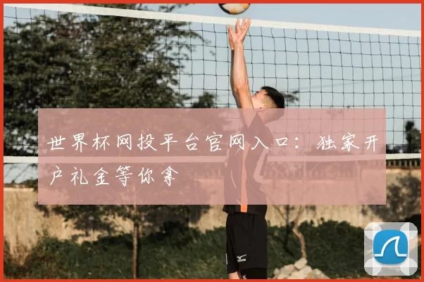 世界杯网投平台官网入口：独家开户礼金等你拿