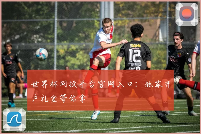 世界杯网投平台官网入口：独家开户礼金等你拿