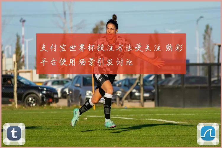 支付宝世界杯投注方法受关注 购彩平台使用场景引发讨论